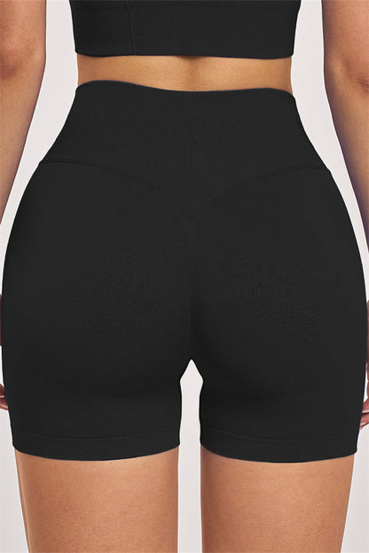 The Vision Sports Bra Shorts 2-Piece Set