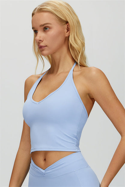 The Dreamy Halter Crop Top