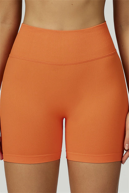 The Prime Crop Top Shorts 2-Piece Set