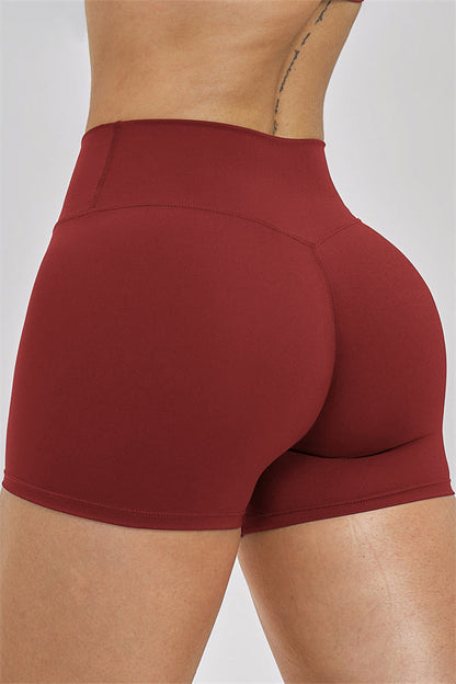 The Seraphine Sports Bra Shorts 2-Piece Set