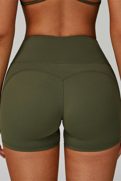 The Bold Shorts