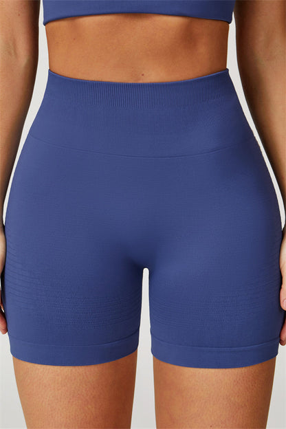 The Delight Shorts
