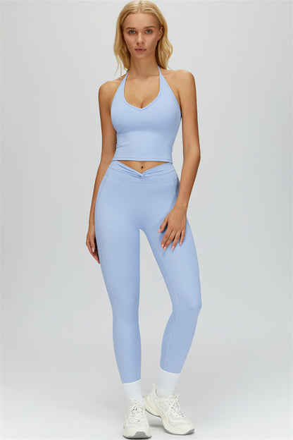 The Dreamy Halter Crop Top