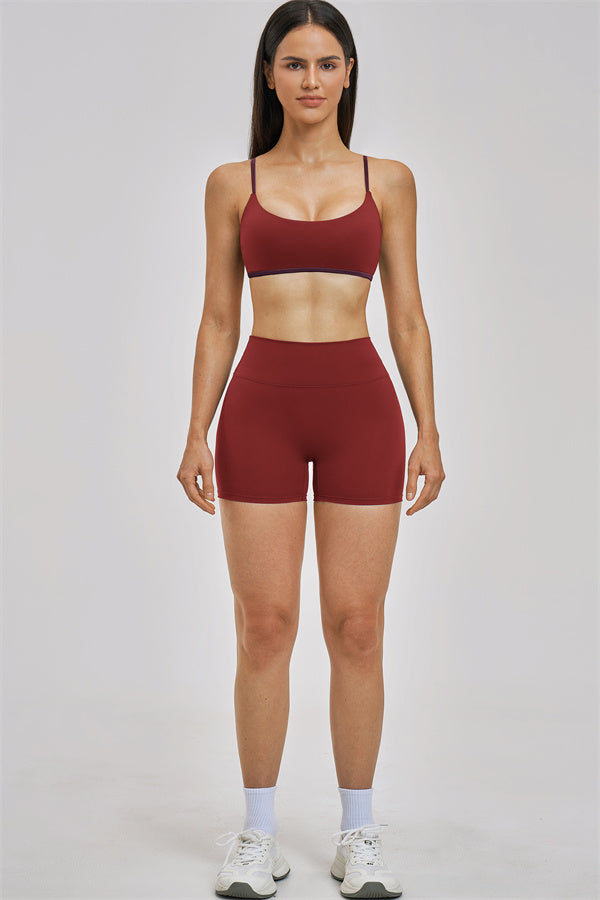The New Seraphine Sports Bra