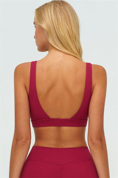 The Lushness V-Back Sports Bra Shorts 2-Piece Set