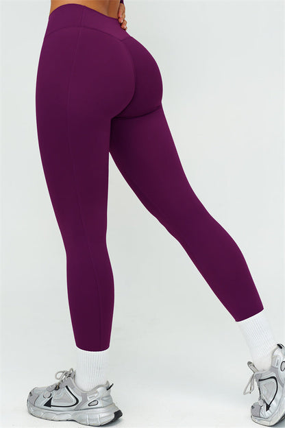 The Lushness V-Back Sports Bra Leggings 2-Piece Set