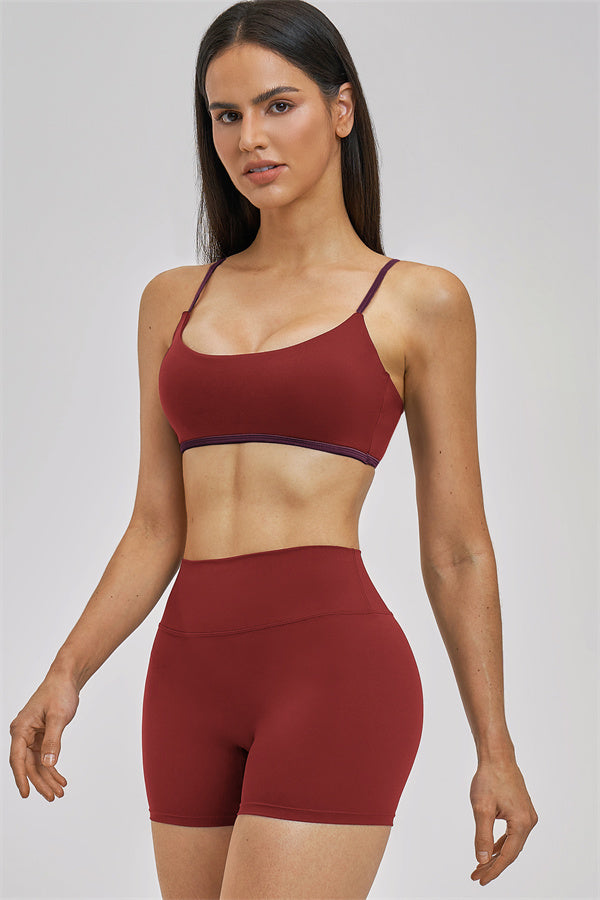 The New Seraphine Sports Bra