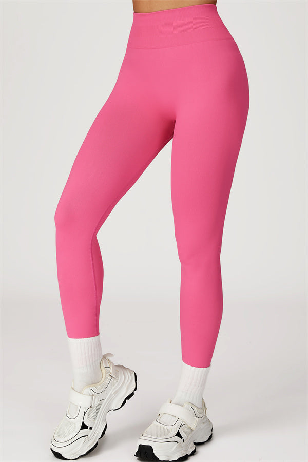 The Sculpt Sports Bra Leggings 2-Piece Set