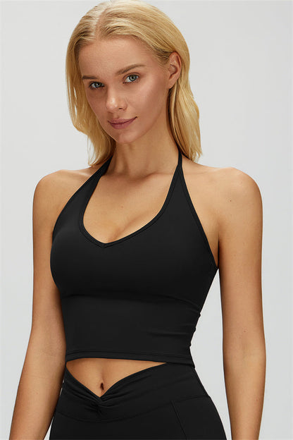 The Dreamy Halter Crop Top
