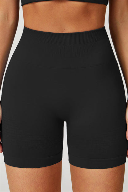 The Delight Shorts