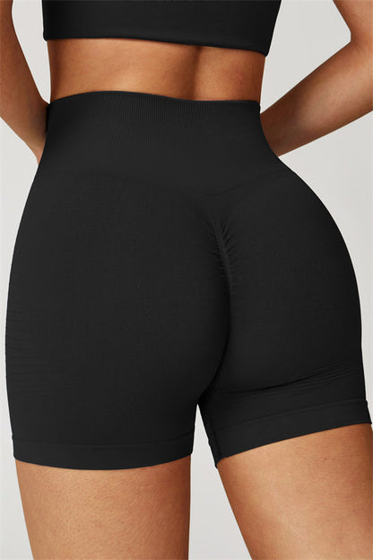 The Delight Shorts