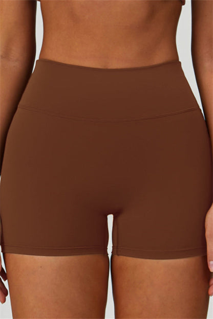 The Seraphine Sports Bra Shorts 2-Piece Set