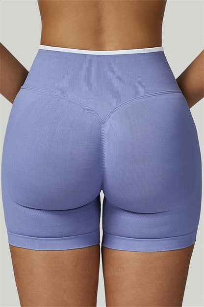 The Prime Line Sports Bra Shorts 2-Piece Set