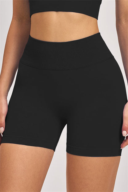 The Vision Sports Bra Shorts 2-Piece Set
