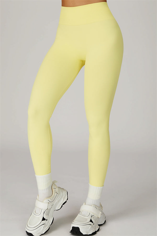 The Sculpt Sports Bra Leggings 2-Piece Set