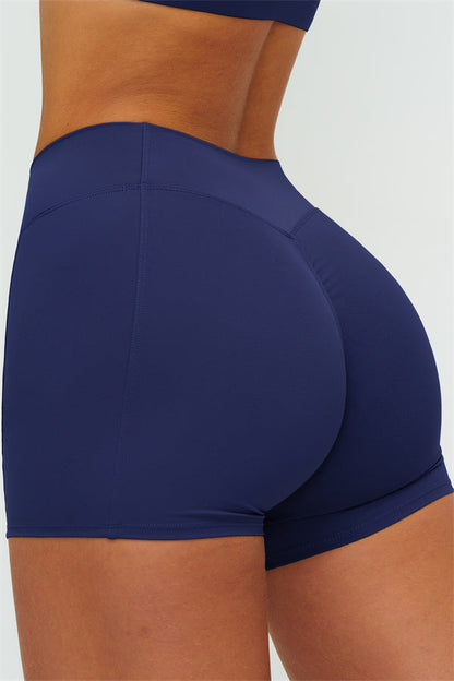 The Lushness V-Back Sports Bra Shorts 2-Piece Set