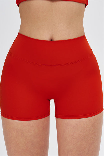 The New Isabella Shorts