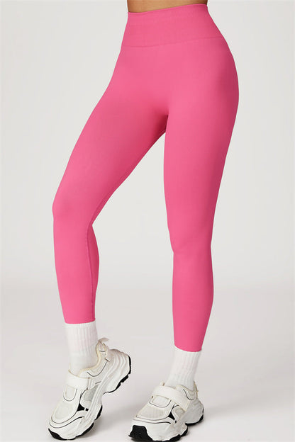 The Sculpt Crop Top Leggings 2-Piece Set